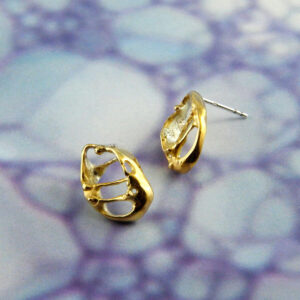 Organic Gold Shell Earrings