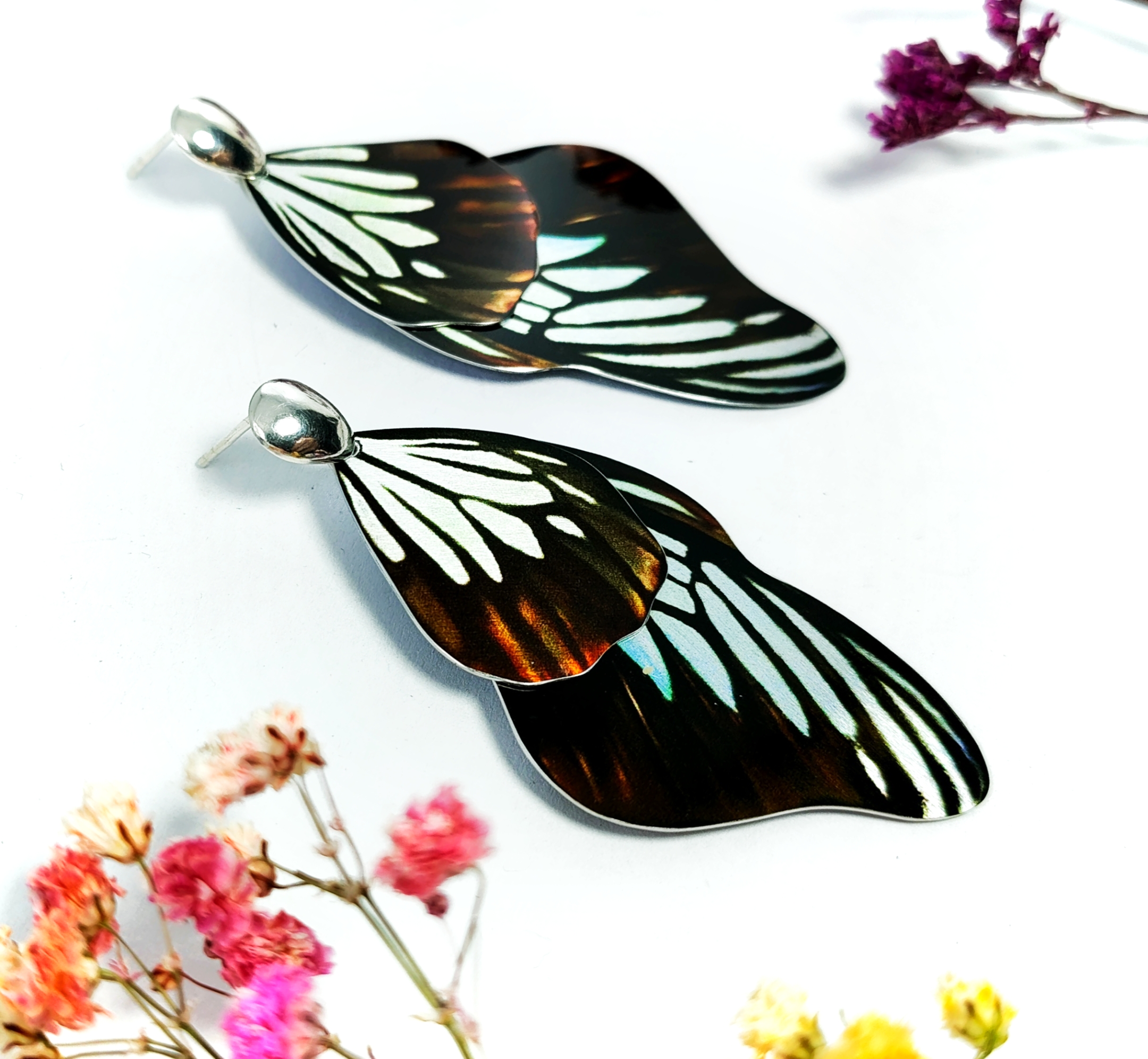Malayan Wanderer Butterfly Earrings